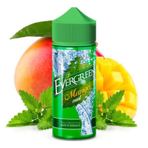 Evergreen Aroma 